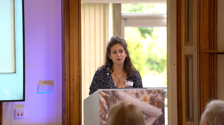 Beth Howell presenting a paper at the A la Ronde Symposium